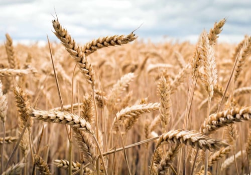 What is the best commodity index etf?